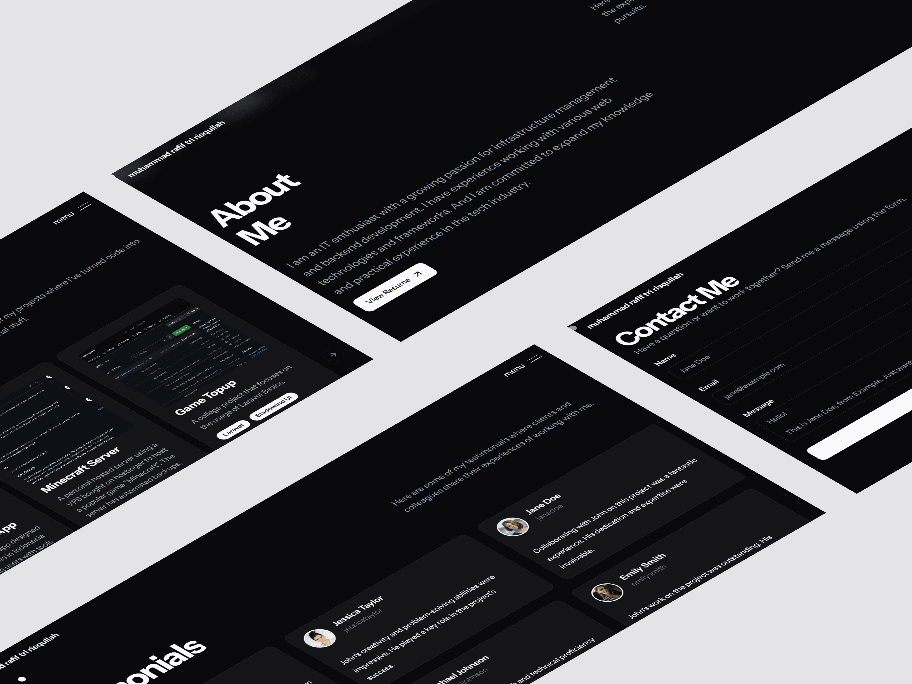 Professional Portfolio Website